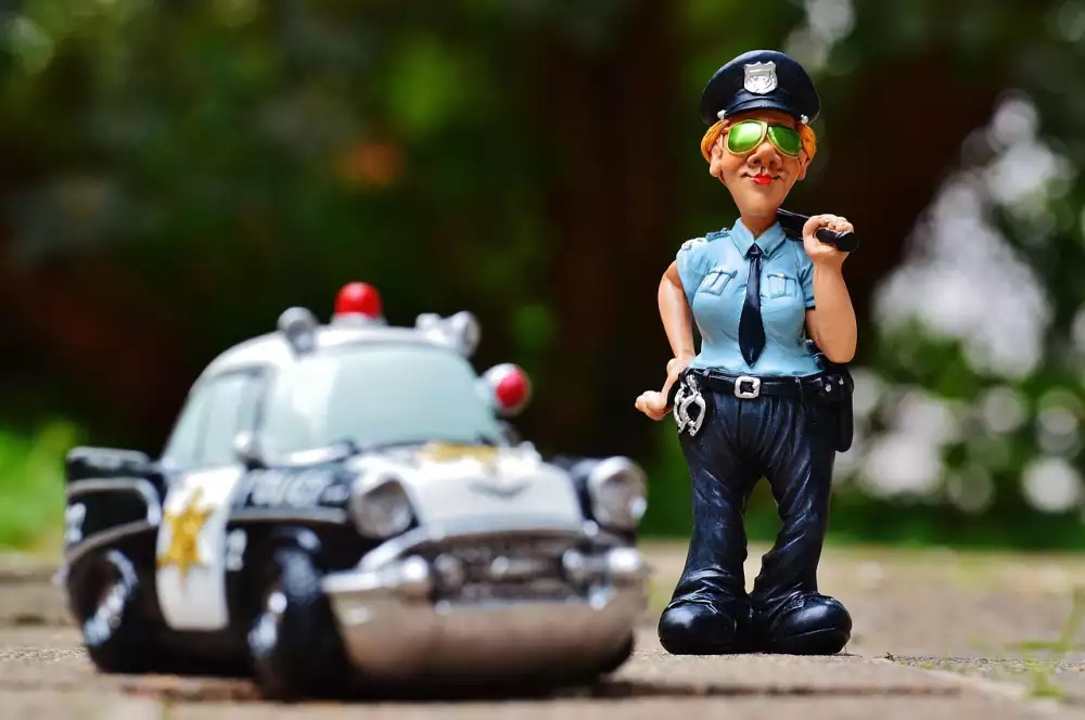 Policie Modrava Epizody