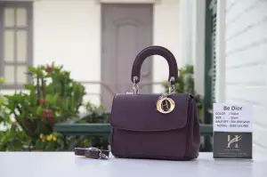 Dior Elixir
