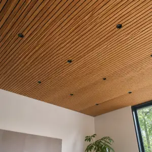 Čím Obložit Strop